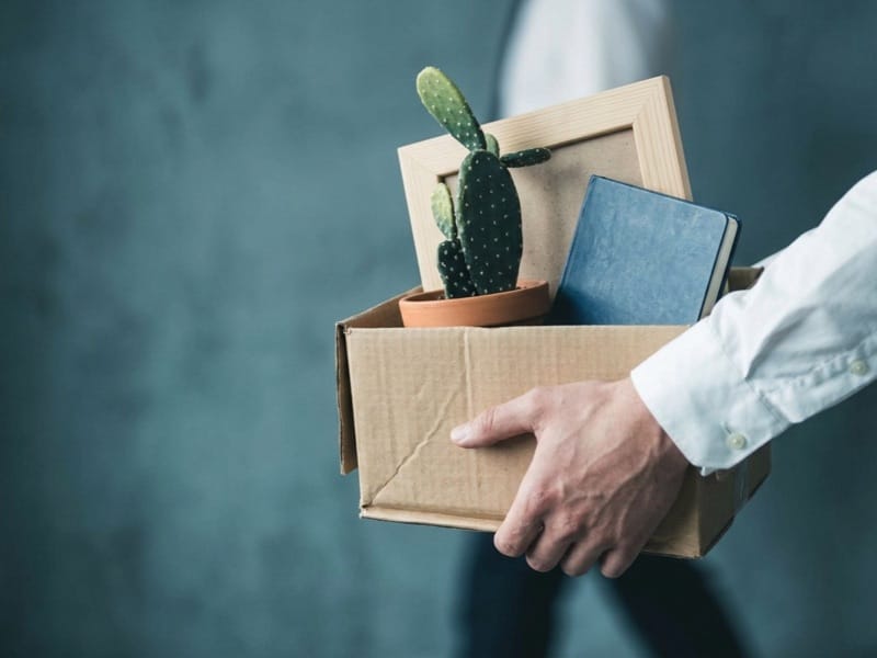 Person in a white shirt carrying a cardboard box holding a cactus, picture frame and notebook